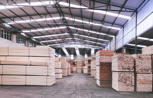 淘木网 木材全产业链服务供应商